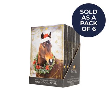 Lincoln Mince Pie Treats Christmas Advent Calendar For Horse/Pony