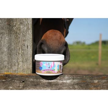 Little Rider Twinkle Toes Pony Hoof Care alternative