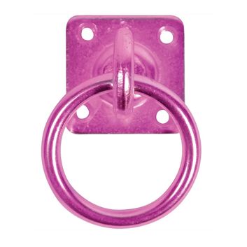 Perry Equestrian Swivel Tie Ring on Plate alternative