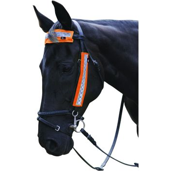Reflector Bridle Set by Hy Equestrian - Orange