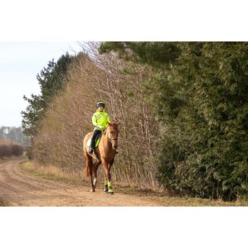 Reflector Hat Band by Hy Equestrian - Yellow/Navy