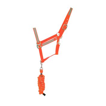 Reflector Head Collar &amp; Lead Rope by Hy Equestrian - Orange
