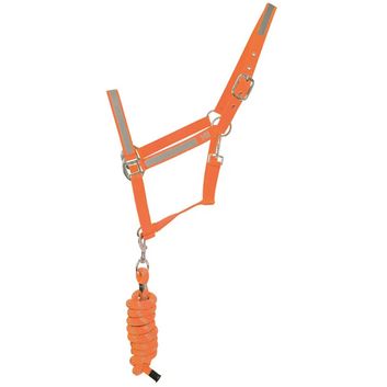 Reflector Head Collar &amp; Lead Rope by Hy Equestrian - Orange