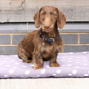 Supreme Products Dotty Fleece Dog Bed - Lavish Lilac