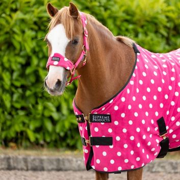 Supreme Products Dotty Fleece Rug - Paradise Pink alternative