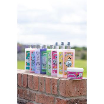 Thelwell Grooming Academy by Hy Equestrian - A Hoof at Each Corner alternative