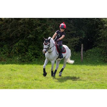 Tractor Collection Fly Veil by Little Knight - Charcoal Grey/Red