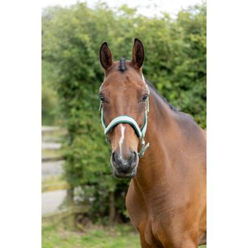 Hy Equestrian Mermaid Shimmer Head Collar and Lead Rope Set - Mint Green