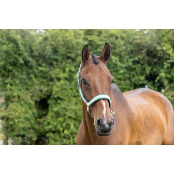 Hy Equestrian Mermaid Shimmer Head Collar and Lead Rope Set - Mint Green alternative