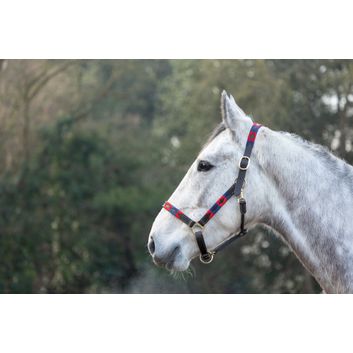 Hy Equestrian Polo Leather Head Collar - Navy/Red alternative