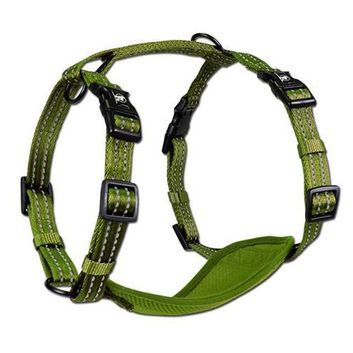 Alcott Products Adventure Harness - Green