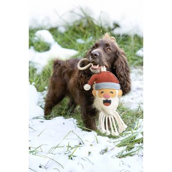 Benji &amp; Flo Christmas Dog Toys