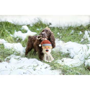 Benji &amp; Flo Christmas Dog Toys alternative