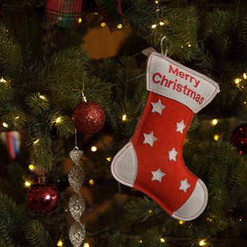 Benji &amp; Flo Christmas Dog Toys