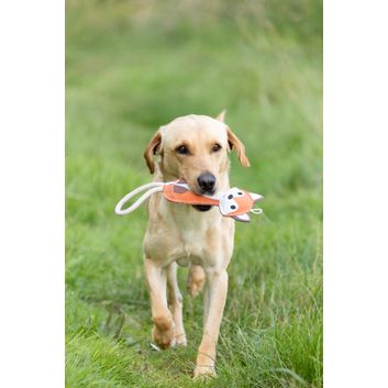 Benji &amp; Flo Country Dog Toys alternative