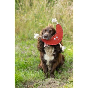Benji &amp; Flo Crazy Faces Dog Toys - Bounce Back Boomerang