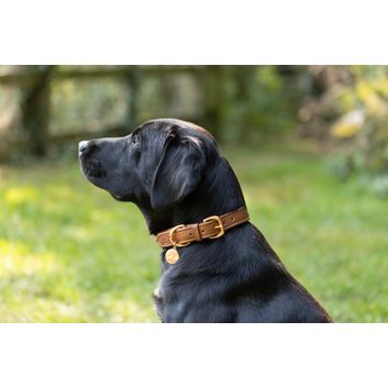 Benji &amp; Flo Deluxe Padded Leather Dog Collar - Tan/Rose Gold alternative