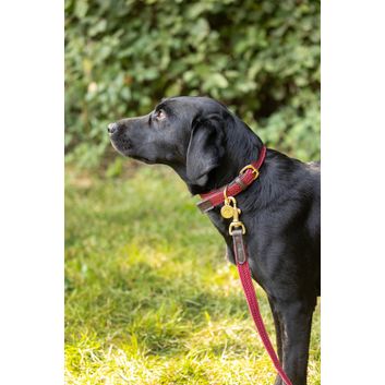 Benji &amp; Flo Interlaced Dog Lead - Burgundy