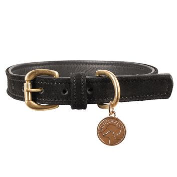 Benji &amp; Flo Noble Suede Dog Collar - Black/Gold