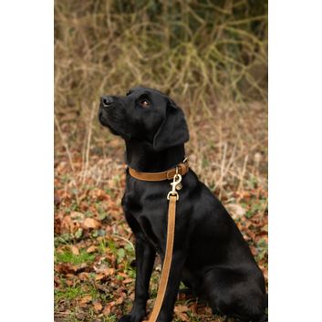 Benji &amp; Flo Noble Suede Dog Lead - Tan/Gold