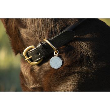 Benji &amp; Flo Superior Rolled Leather Dog Collar - Black/Brass alternative