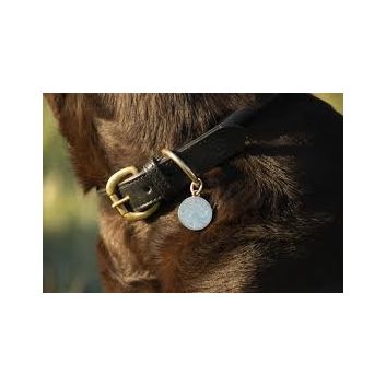 Benji &amp; Flo Superior Rolled Leather Dog Collar - Black/Brass alternative