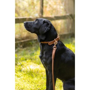 Benji &amp; Flo Superior Rolled Leather Dog Collar - Tan/Rose Gold alternative