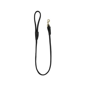 Benji &amp; Flo Superior Rolled Leather Dog Lead - Black/Brass alternative