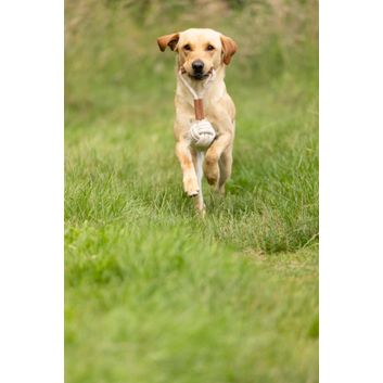 Benji &amp; Flo Tug 'n' Play Dog Toys