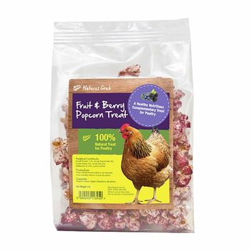 Natures Grub Popcorn Treat with Fruit