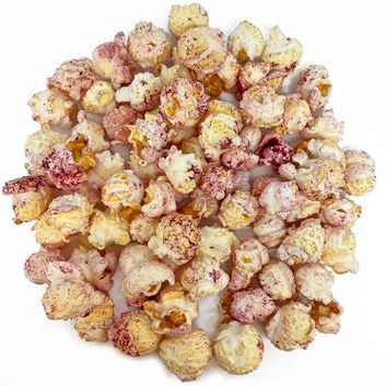 Natures Grub Popcorn Treat with Fruit alternative