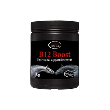 Omega Equine B12 Boost