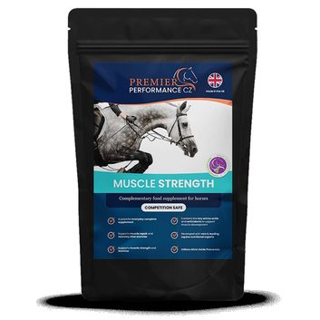 Premier Performance Muscle Strength