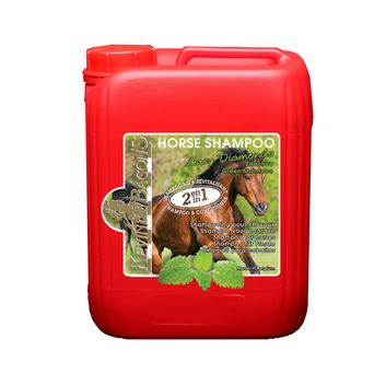 Kevin Bacon'S Lucy Diamonds 2-In-1 Shampoo &amp; Conditioner alternative