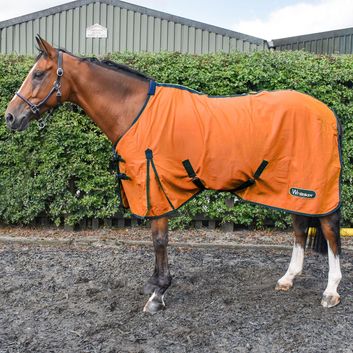 Whitaker R370 Allerton Multi-Function Cotton Sheet Tangerine alternative