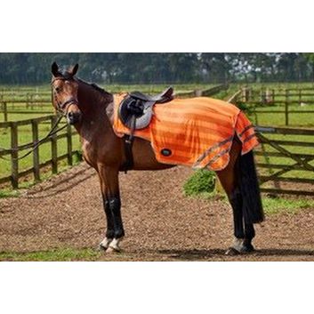 Firefoot Reflective Exercise Sheet Orange alternative