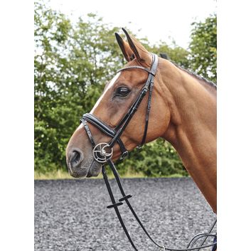 Whitaker Br078 Barton Bling Flash Bridle Black