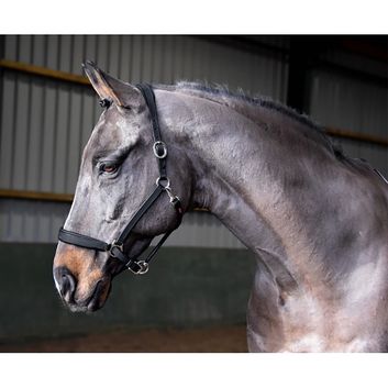 Whitaker Hc054 Ready To Ride Headcollar Black