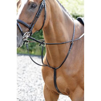 Whitaker Ma077 Barton Martingale Black alternative