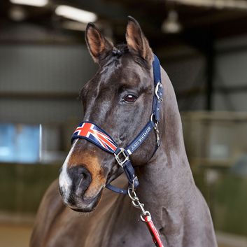 Whitaker Ujhcp Union Jack Padded Headcollar alternative