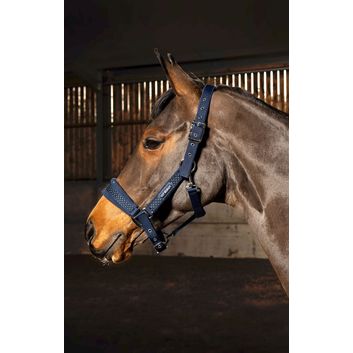 Whitaker Hc061 San Francisco Headcollar Navy alternative