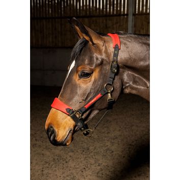 Whitaker Hc096 Harewood Headcollar Red alternative