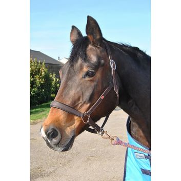 Whitaker Hc054 Ready To Ride Headcollar Havana alternative