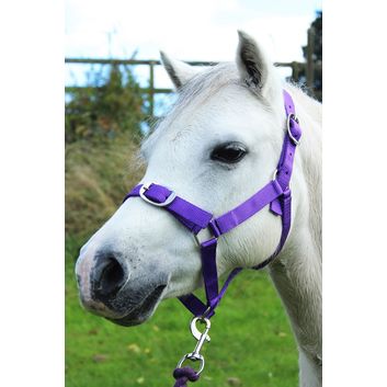 Gallop Headcollar &amp; Lead Rope Set Purple alternative