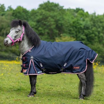 Gallop Ponie Duraproof 50g 5-Point Std Neck Turnout Turnout Rug Navy