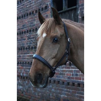 Gallop Premium Padded Leather Headcollar Brown