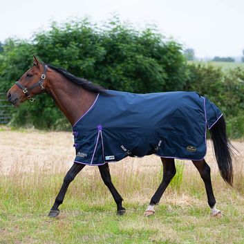Gallop Trojan Duraproof 5-Point Std Lightweight Turnout Rug Navy alternative