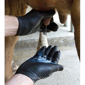 Febra Black Nitrile Milking Gloves - 100 Pack alternative