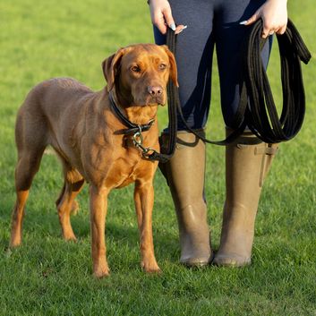 Benji &amp; Flo Training Longline - 8m