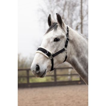 Hy Equestrian Fleece Lined Lunge Cavesson - Black/Natural alternative